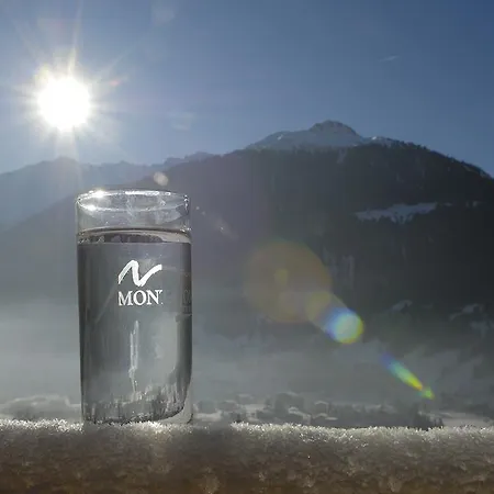 Vakantiehuis Montafon *